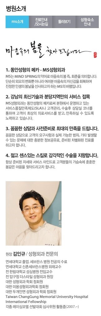 분당성형외과 MS성형외과
